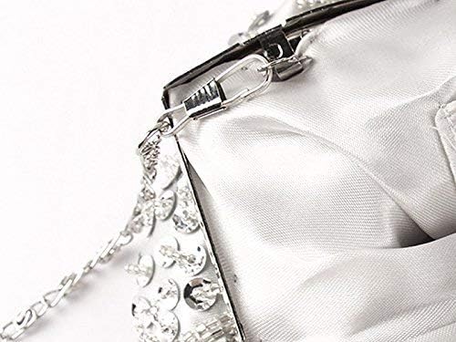 Beaded Sequin Design Clutch