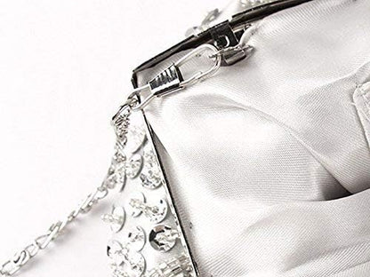 Beaded Sequin Design Clutch